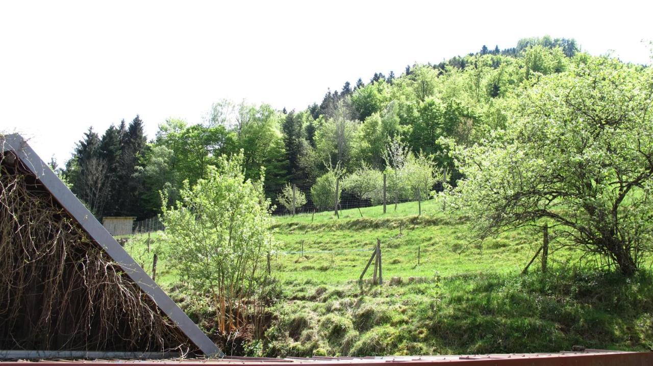 Gite Le Creux Chene Rombach-le-Franc Exterior foto