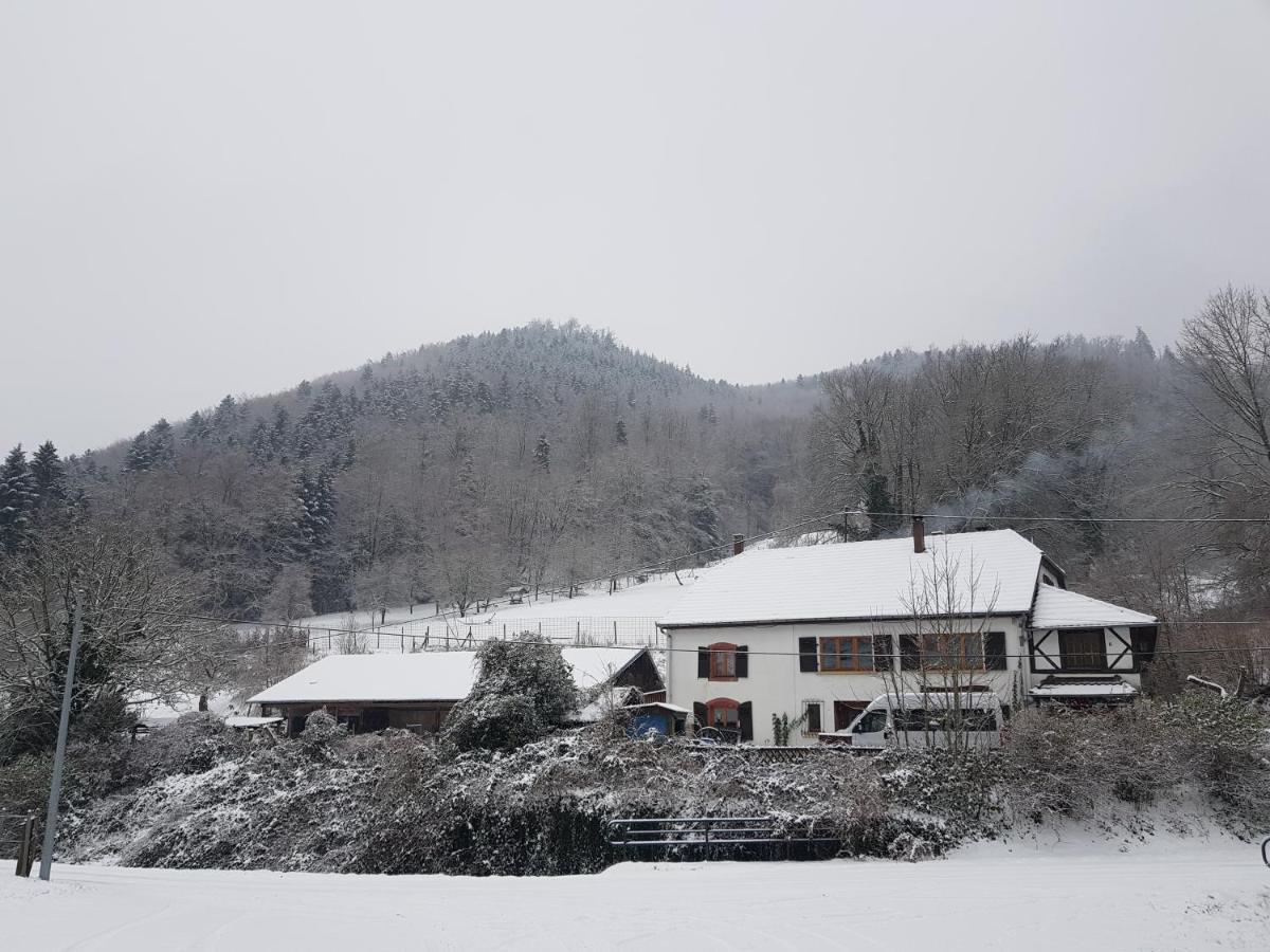 Gite Le Creux Chene Rombach-le-Franc Exterior foto